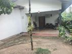 Single Story House for Sale Talawathugoda