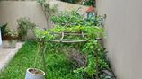 Single Story House in Aggona for Rent
