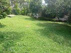 Single Story House Rent Pelawatta