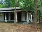 Single Story House Wirh 42 Perches Land for Sale in Delgoda, Udupila