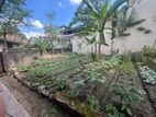 Single Story House With Land For Sale In Thalawathugoda - CL746