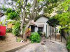 Single Story Old House in Colombo 6