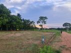 Sinnakkara land near Maha Bulankulama Lake