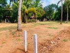 සින්නක්කර බිම් කොටස් අනුරාධපුර පූජා නගරයට කිට්ටුවෙන්