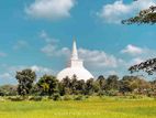 සින්නක්කර ඉඩමක් අනුරාධපුර