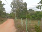 සින්නක්කර ඉඩමක් ඔබේම කරගන්න අනුරාධපුර