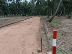 සින්නක්කර ඉඩමක් පම්බල හලාවත