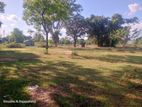 Land for Sale in Thalawa Siyambalangamuwa