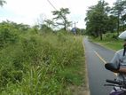 Land For Sale Mahiyanganaya