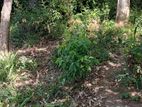 Land in Welimada