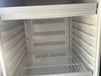 Sisil Bottle Cooler