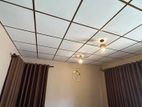 Ceiling Work
