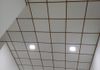 Sivilima I Panel and Celling