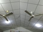 Sivilima iPanel and 2×2 Ceiling Work