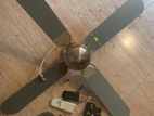 Ceiling Fan