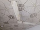 Celing Fan