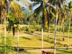 සියලු අනුමැතියන් සහිත නේවාසික බිම් කොටස් නාරම්මල