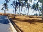 සියලු පහසුකම් සමගින් වටිනා ඉඩම් ව්‍යාපෘතිය තලගලින්