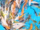 Sl Koi Fish