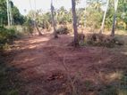 (SL1402) 66perch Land for Sale in Kuliyapitiya