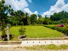 (SL1431) 40 Perch Land for sale in Thalawatugoda CVS coraya road