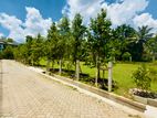 (SL1431) 40 Perch Land for sale in Thalawatugoda CVS coraya road