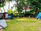 (SL1464) 11 Perch Land for Sale in Dehiwala