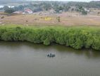 (SL1530) 19 Acre Land for Sale in Pottuvil akkaraipaththu Road Facing