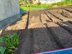 (SL1567) 20 Perches Land for Sale in Nuwara Eliya