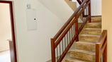 Slab/Wiring/Plastering/Tiling and all construction specialist