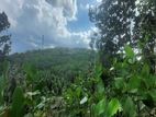 Sloping Land for Sale in Baddegedera, Kospelawinna, Ratnapura