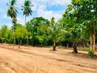සමාධි පිළිමයට සහ කුට්ටම් පොකුණට 2km දුරින් බිම් කොටස්
