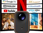 Small Carriabale Projectors