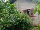 SMALL HOUSE WITH LAND SALE IN NEGOMBO AREA