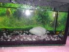 Small Size Fish Tank