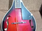 Smiger Mandolin