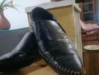 SN shoes (Leder)