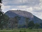 Land for Sale සිගිරිය