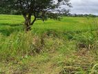 සංචාරක හොටෙල් සදහා ඉතා සුදුසු ඉඩමක් සීගිරියන්.ව්කිණිමට ඇත