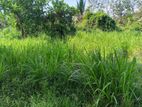 සංචාරක හොටෙල් සදහා සිගිරියන්.ඉඩමක් විකිනිමට ඇත