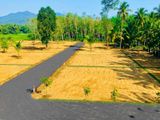 සංචාරක පුරවරයෙන් ඉඩමක් විකිණීමට ඇත