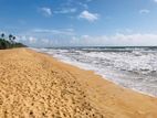 සංචාරක සීමාවෙන් Beach Facing ඉඩමක් - වාද්දූව