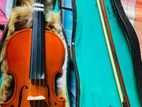 Violin