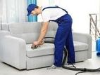Soapa and Carpet Cleaning