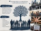 Sociology Assignment Help