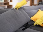 Sofa Cleaning