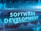 Software Developer - Web Development