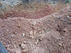 Soils