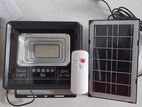 Solar Flood Lighting