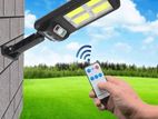 Solar Induction Wall Lamp
